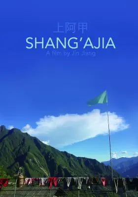 上阿甲