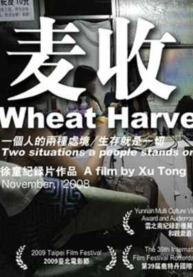 麦收