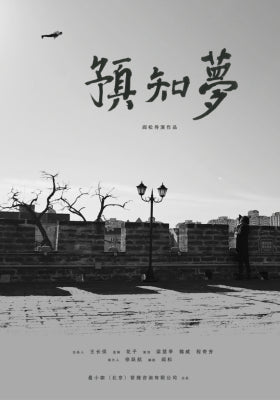 预知梦