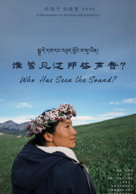 谁曾见过那些声音?
