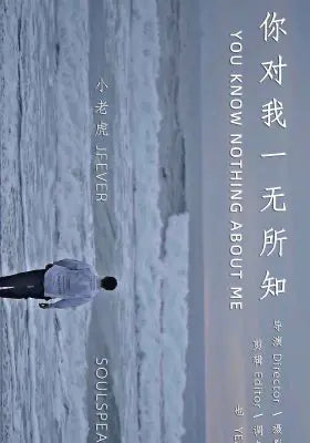 你对我一无所知