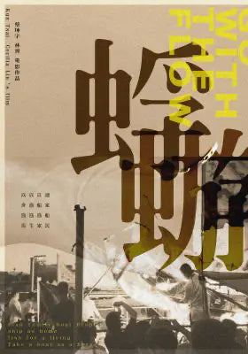 蜉蝣