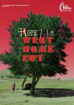 我回家了,但