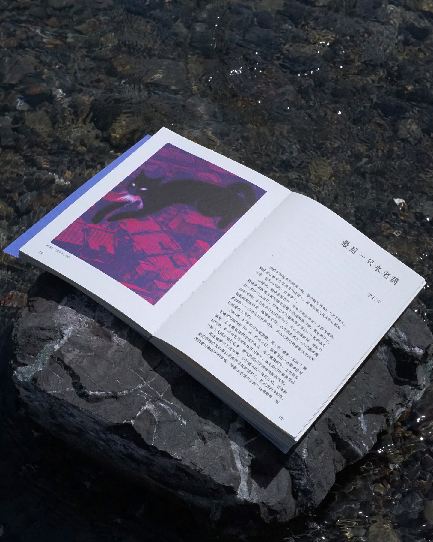 雨燕 Apus 第一期:时间