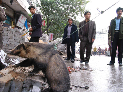 三峡 2002