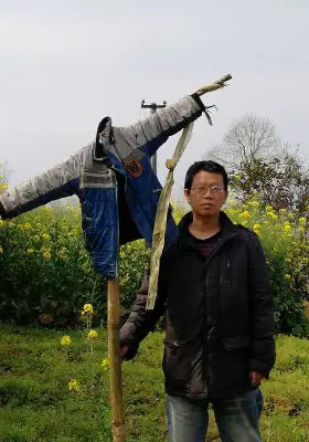 还乡