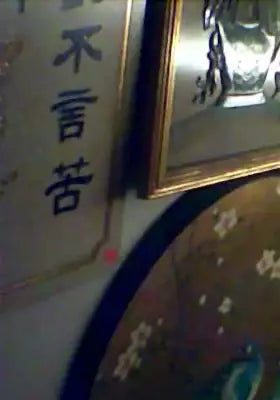 梦华录