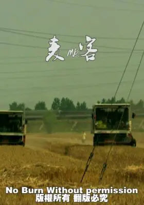 麦客