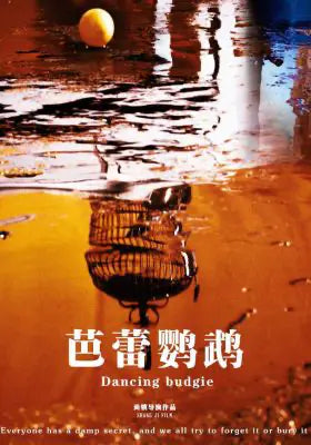 芭蕾鹦鹉