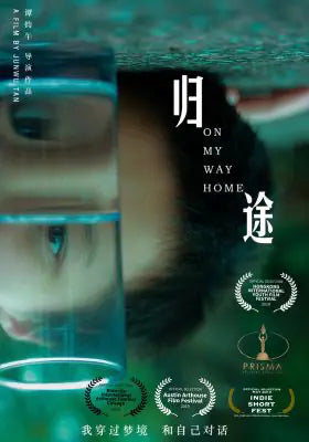 归途