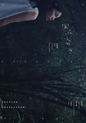 黑夜走向我