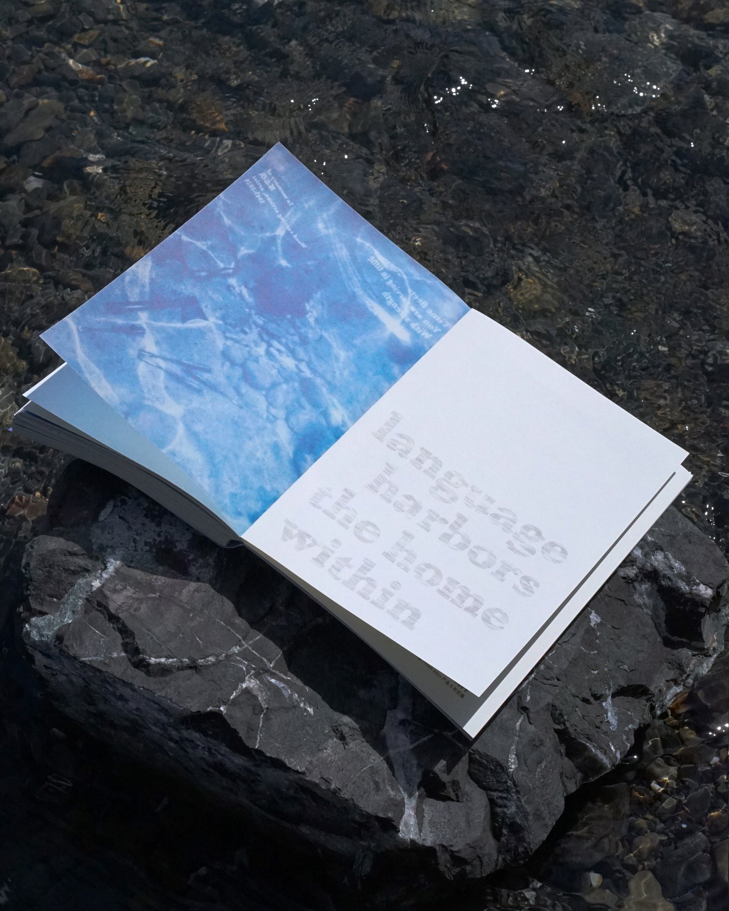 雨燕 Apus 第一期：时间