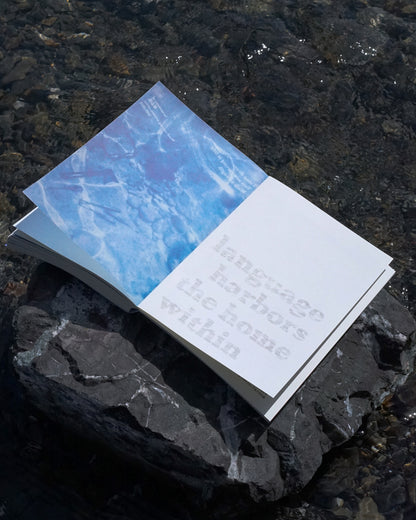 雨燕 Apus 第一期：时间