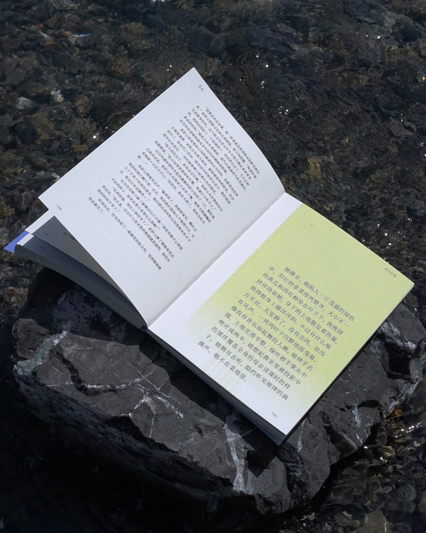 雨燕 Apus 第一期：时间